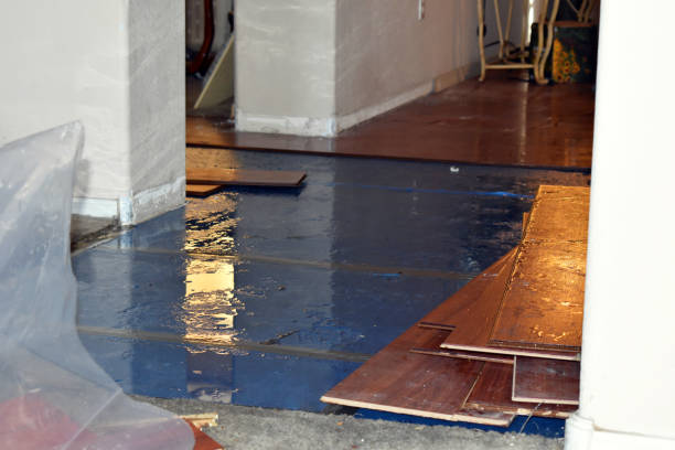Professional Basement Flood Cleanup technician working in Abbeville, LA